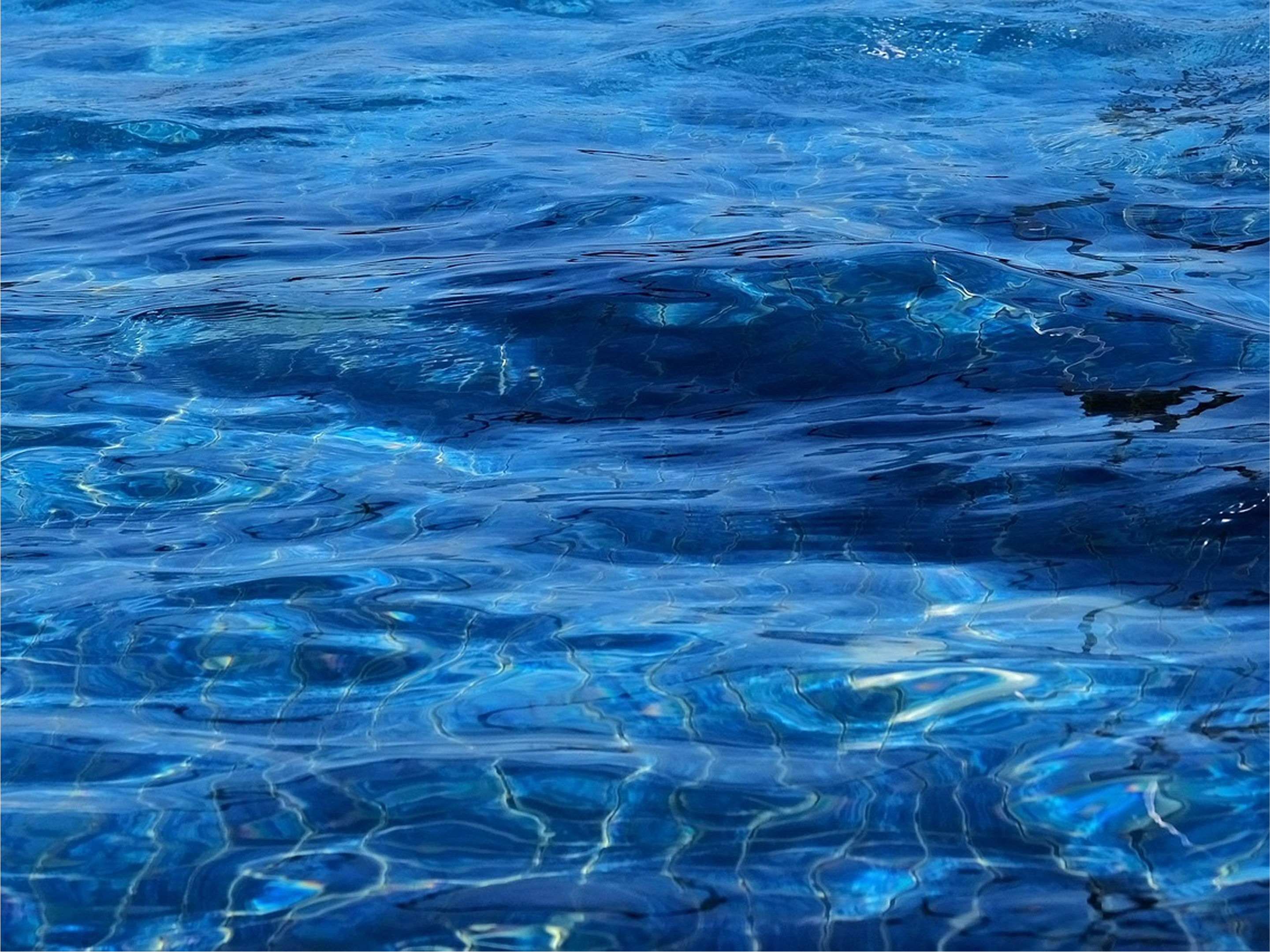 Abstract fluid shapes